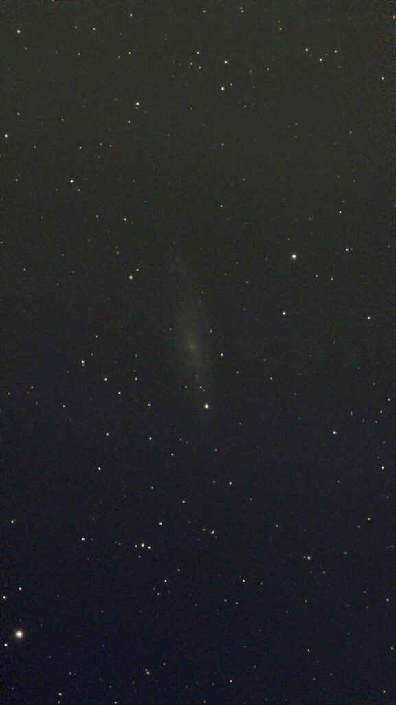 NGC 247