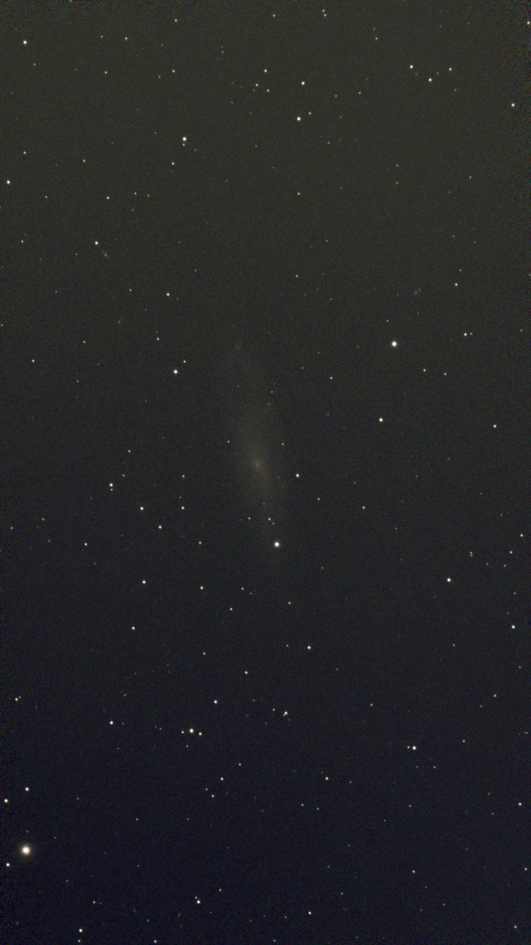 NGC 247