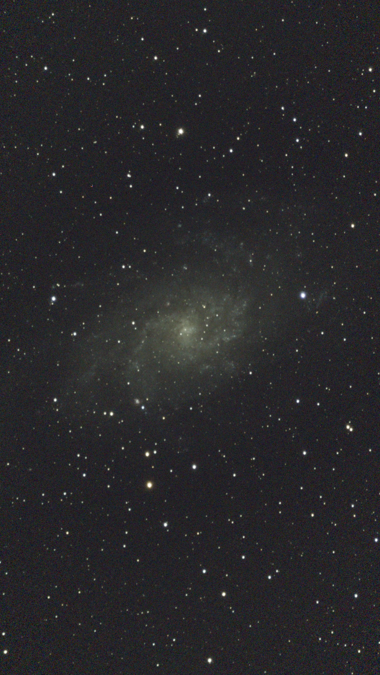 Triangulum Galaxy