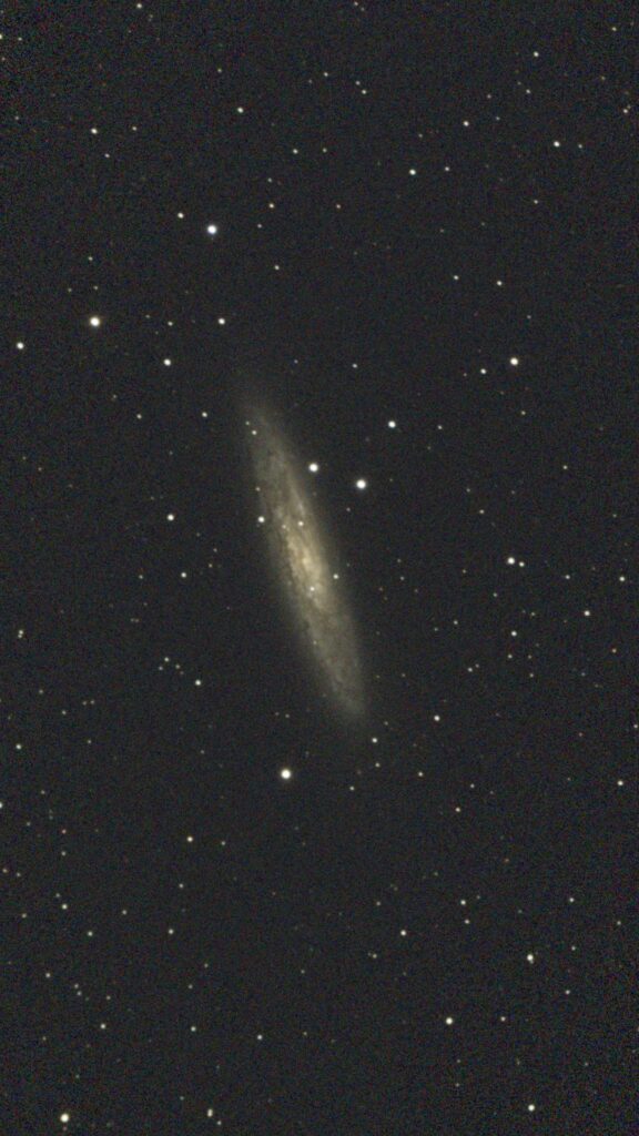 Sculptor Galaxy / Silver Coin Galaxy