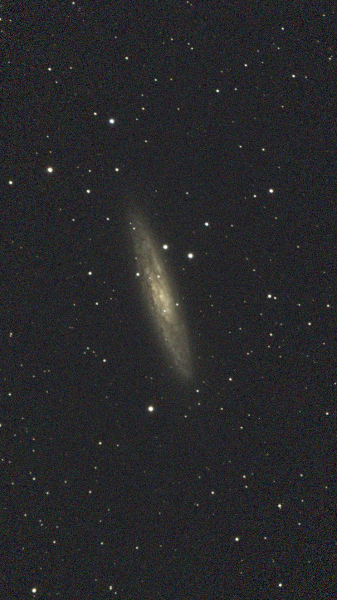 Sculptor Galaxy / Silver Coin Galaxy
