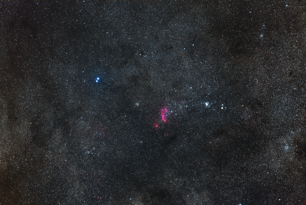 Scorpius tail
